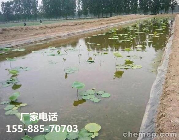 新闻:衢州楼顶花园排水板(厂家)√车间欢迎